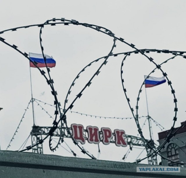 Домашний интернет оградят лимитами на трафик