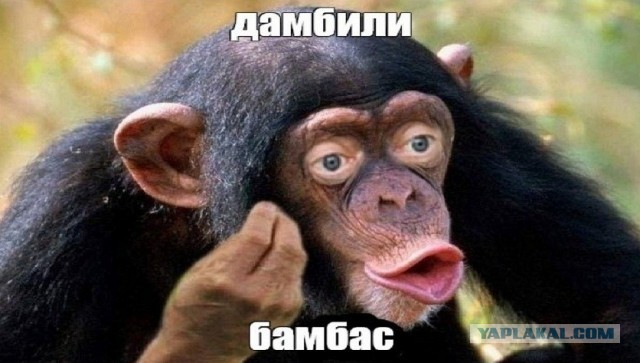 Токмачка, наша, ну почти...