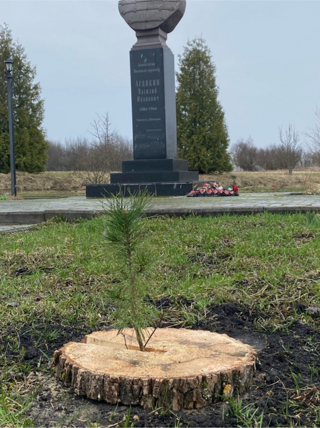 Как один человек за 36 лет превратил пустыню в лес