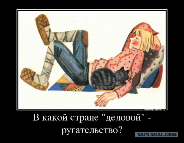 Один год жизни эминранта с России в США
