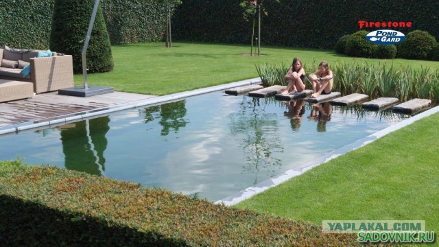 Небольшой оазис возле дома