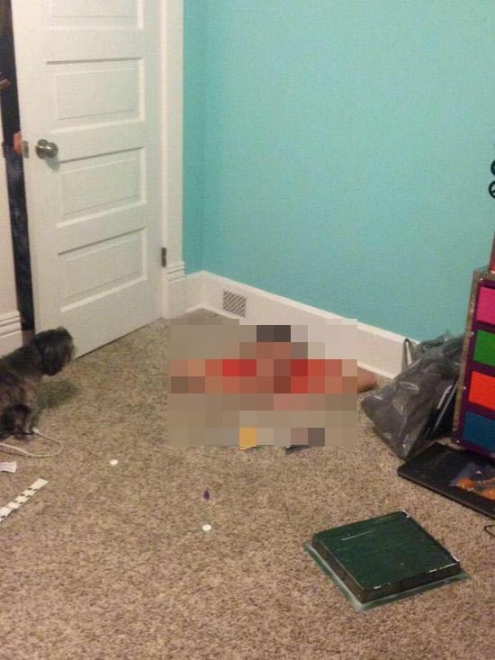 Родители пришли с работы и выпали в шок