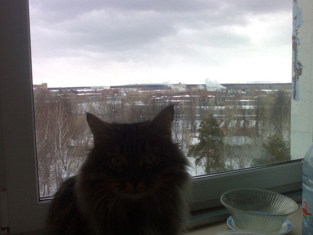 Апрель 2012