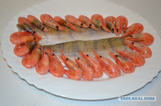 День Судака, или как мы с пельменной иглы слазили