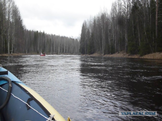 Поход: Карелия, река Шуя, женщина, байдарка.