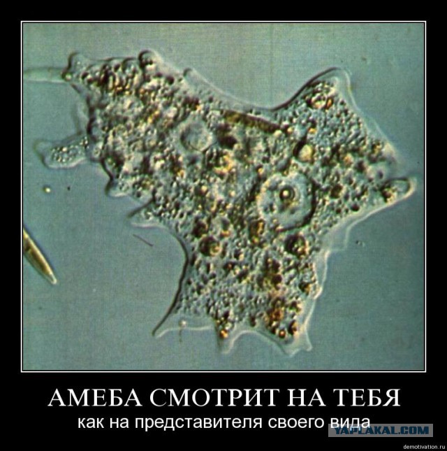 Магомед, Христос и Гитлер - украинцы.