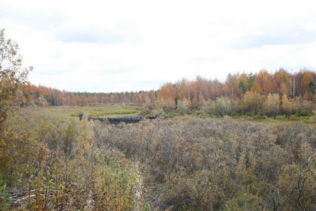 Экспедиция к 503 стройке.