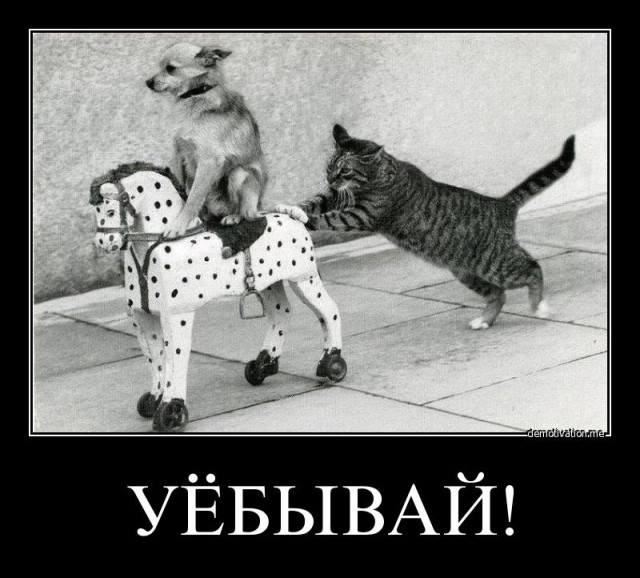 Почему мужчину из Франции покоробил российский быт