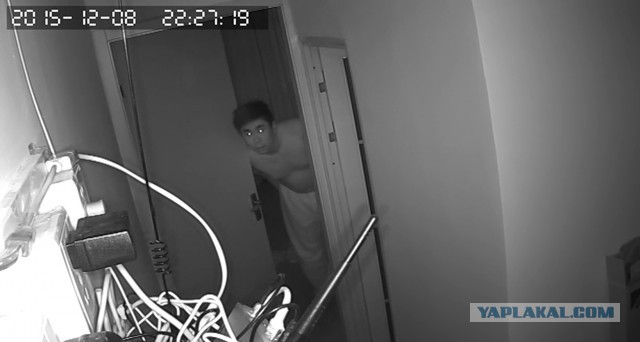 За что я люблю китайцев