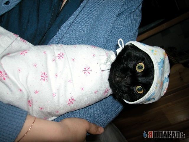 ну все...