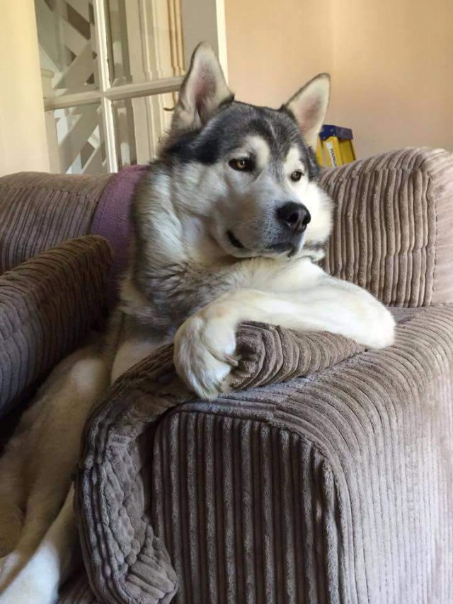 Подборка картинок