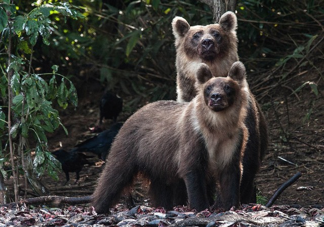 А что это вы здесь делаете?