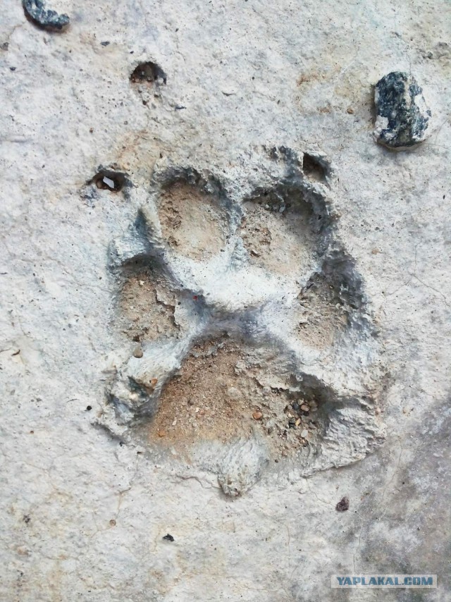 Я жду тебя за Радугой