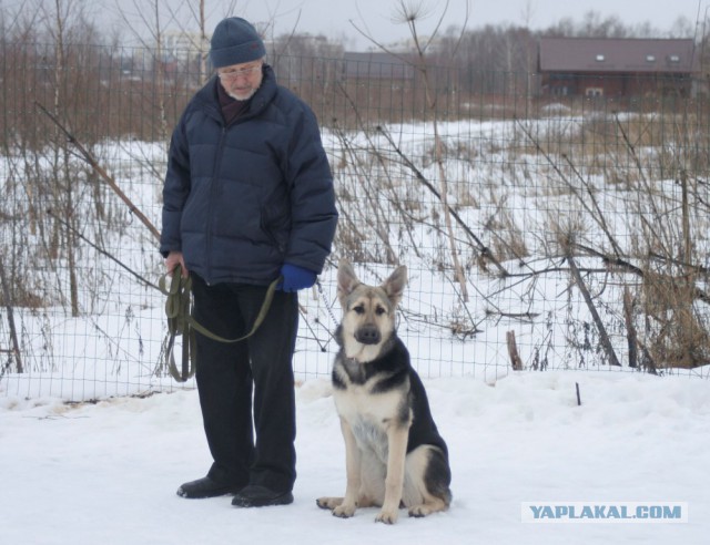 Сыночек к мамане в гости приезжал)))