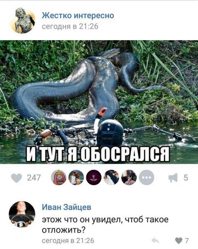 Ужасы и приколы из соцсетей 18+