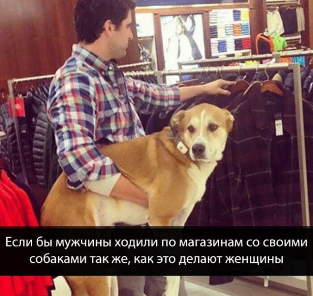 Подборка безудержного веселья