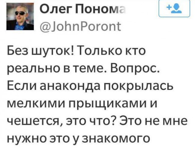 Забавные шутки, фразы и комментарии из этих ваших интернетов
