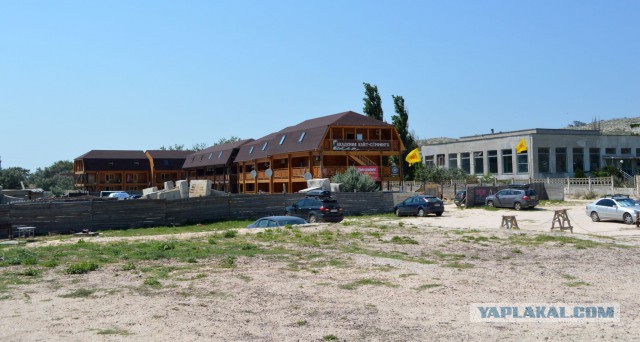 Победа южной природы: прогулка по заросшему пионерскому лагерю в Крыму