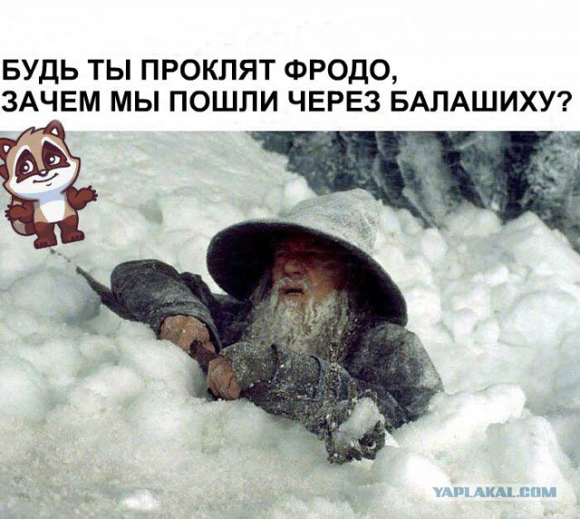 "Такова снегапада..."
