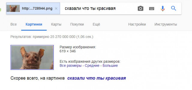 25 картинок в этот понедельник