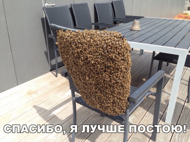 Нестандартный юмор