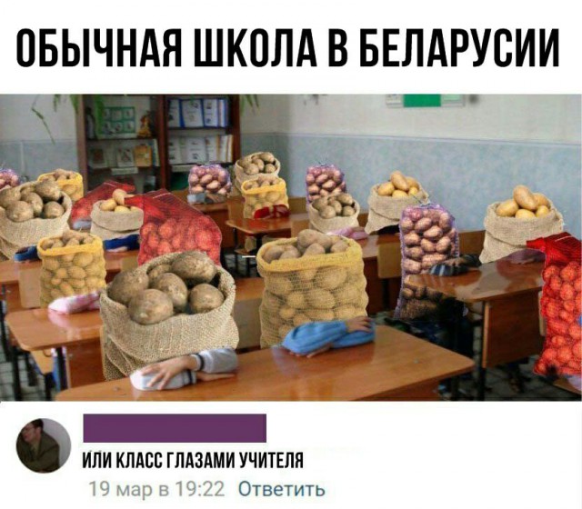 Картинки веселые и интересные