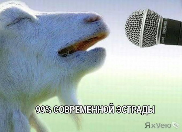 Прикольные комментарии и высказывания из Сети. 26.09. 2018.
