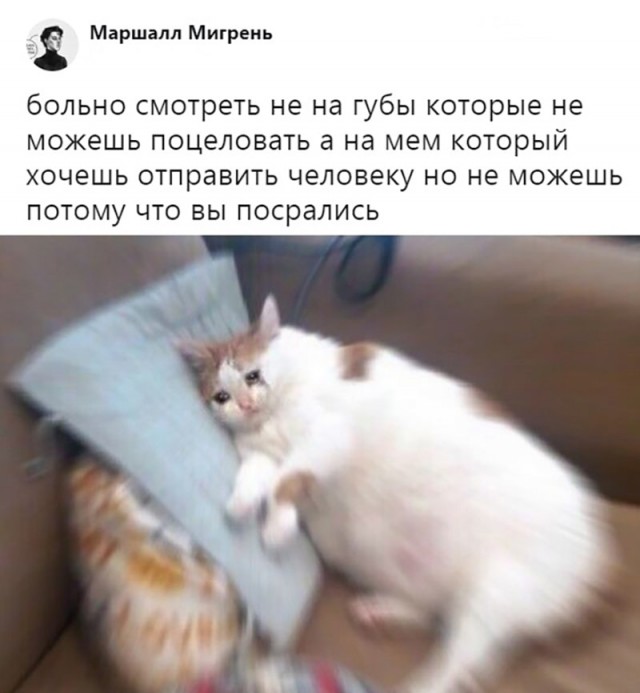 Чуть этих соцсетей