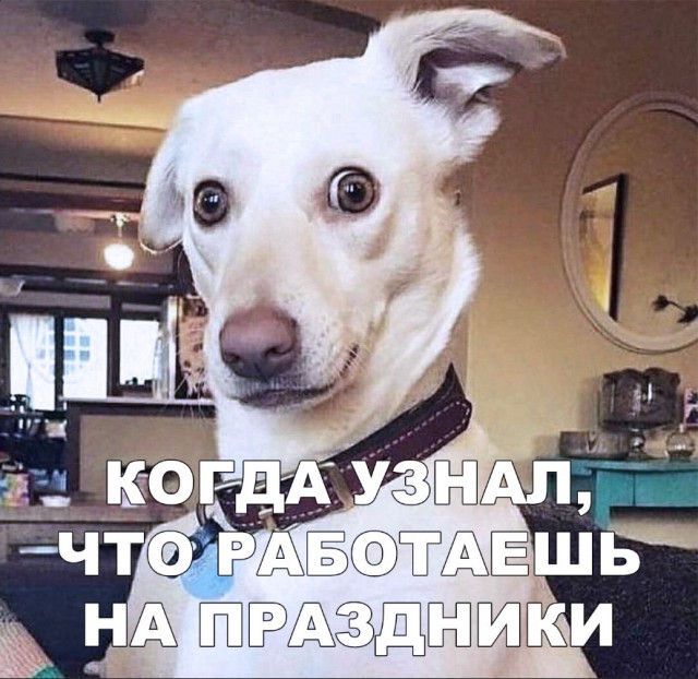 Нестандартный юмор