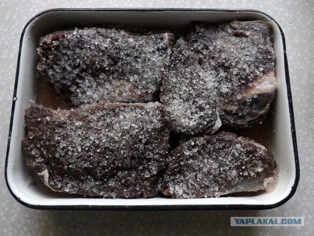 Кулинария 10 лет спустя. С Днем Рождения!