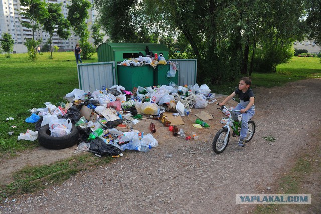 По поводу раздельного сбора мусора
