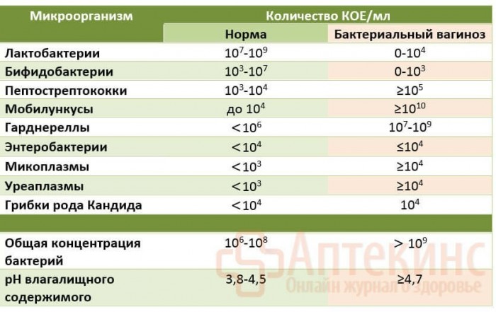 Наглядная анимация борьбы макрофага с кишечной палочкой в пищеварительном тракте.