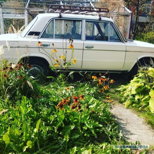 Куплю у ЯПовцев авто до 350 тысяч