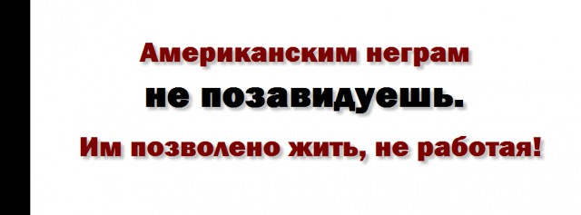 Нетолератные размышления американского профессора-еврея о чернокожих американцах