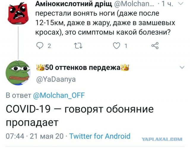 Бредзона 31.05.20