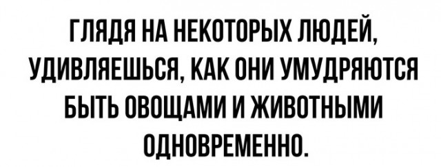 Чуток картинок 25.06.20
