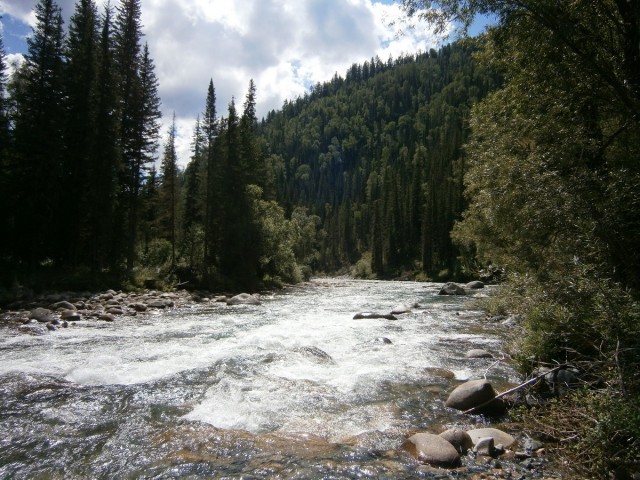 На конягах по Алтаю
