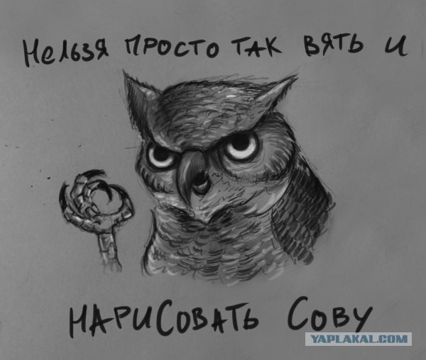 Фотожаба:Нельзя просто так взять и нарисовать СОВУ