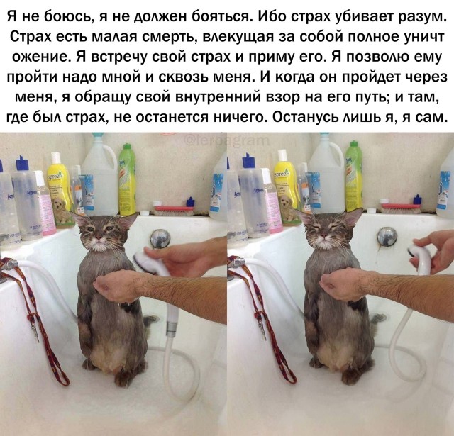 Так себе картинки 16.05.21
