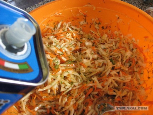 Капуста International, Наступила осень, отцвела капуста...