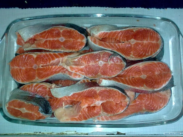 Форель.