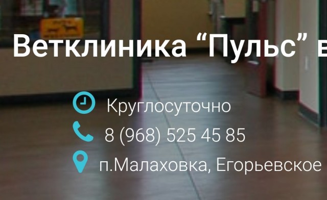 Помогите спасти кошку!