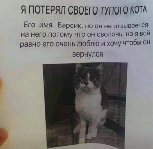 Картинки и мемы для настроения 02.08.2021
