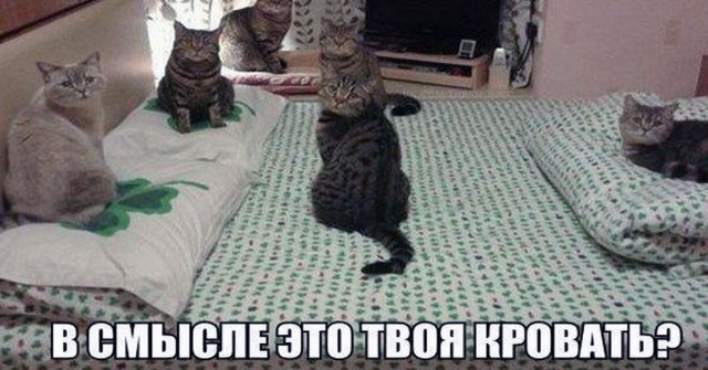 Так себе картинки 02.11.21
