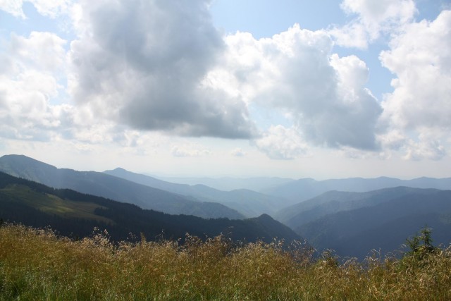 Карпаты, Закарпатье.