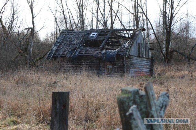 Опустевшая деревня на окраине Ярославской области. Старые дома
