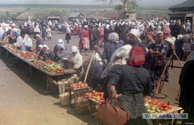 Праздничный стол: Качественные деликатесы в СССР