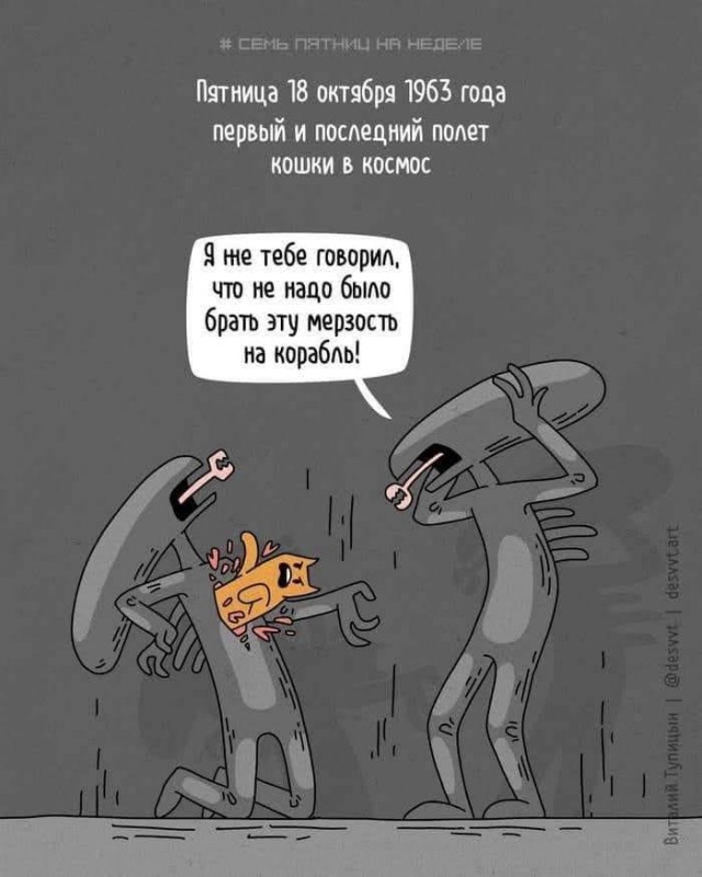 Всяческие картинки 31.01.2022