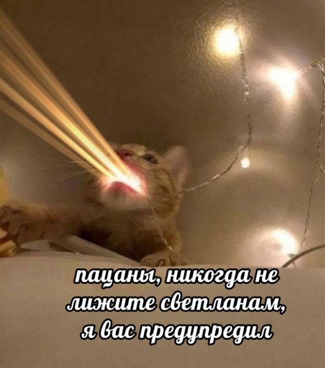 Так себе картинки 17.04.22