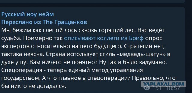 Пандемия съехавших крыш - разновидности болезни. Россия и мир. Часть 37